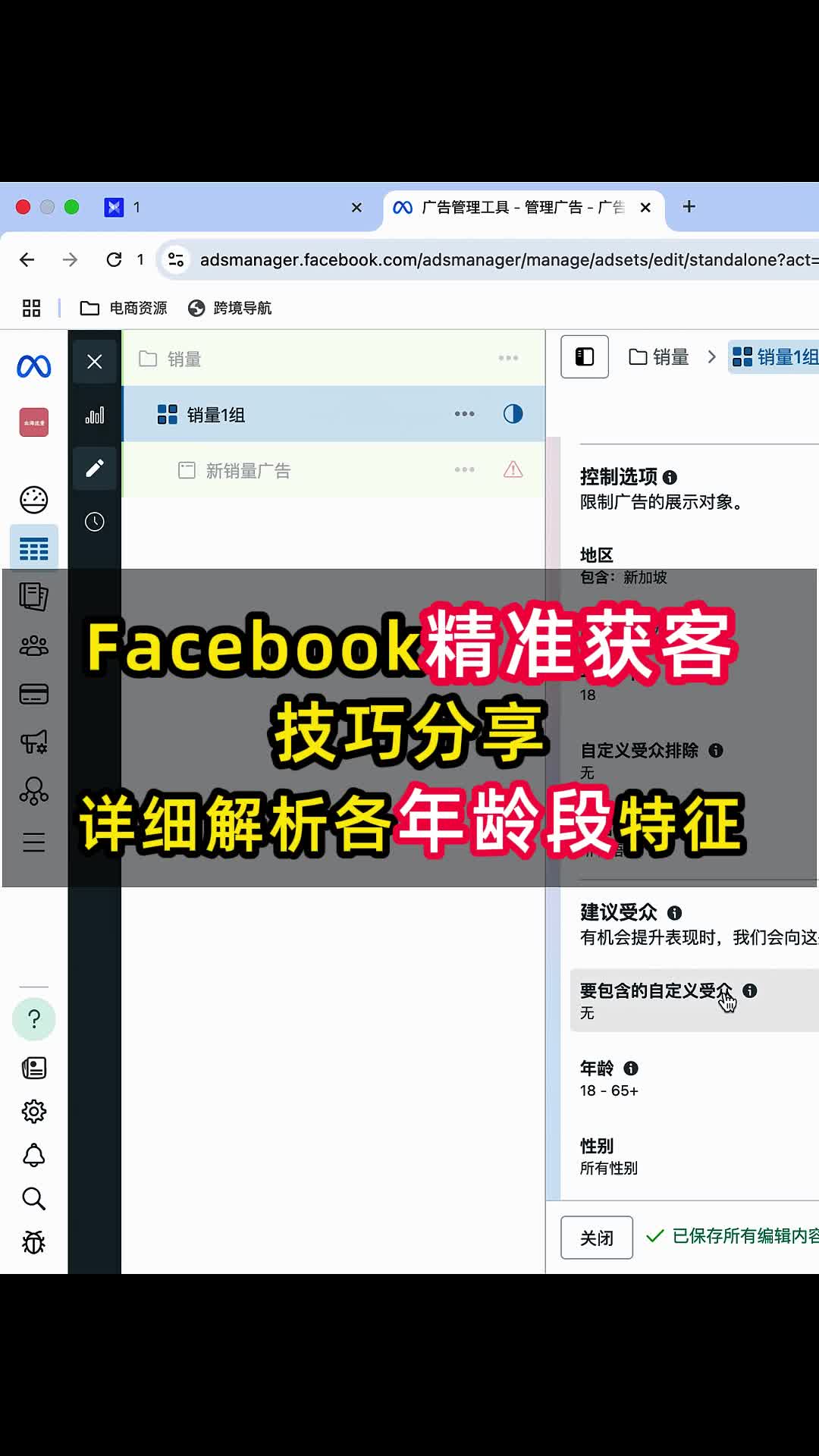 facebook精准获客技巧分享 分析各年龄段特征 | 实战经验与优化建议 | facebook广告投放