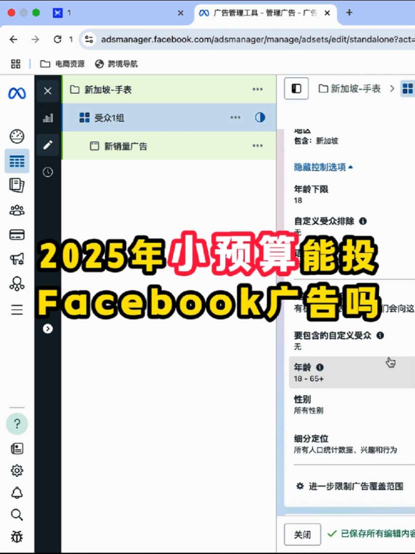 2025年小预算能投Facebook广告吗 | 预算控制与放量策略 | Facebook广告